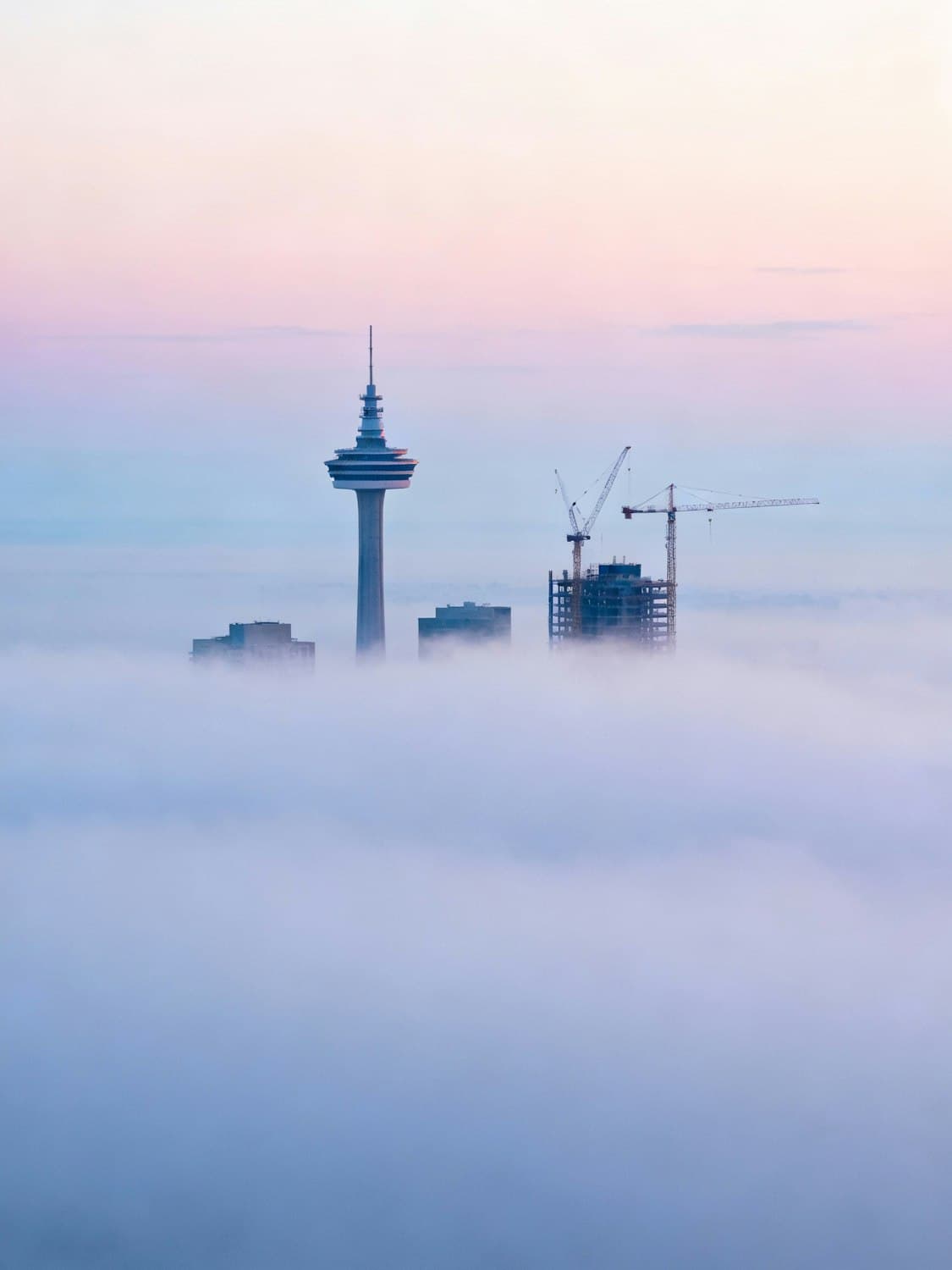 Tower cranes rising above morning fog beside a high-rise under construction